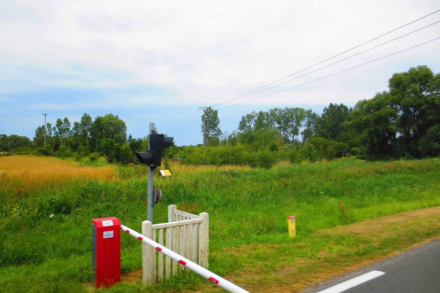 Locomotive à vapeur et wagons Belle Époque du train de la Baie de Somme longeant les marais